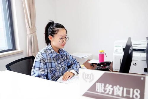 宝山区教育事务服务中心“一站式”服务窗口正式启动，开启教育咨询服务新篇章